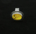 Baltic Amber Nest Sterling Silver Ring size 6 US